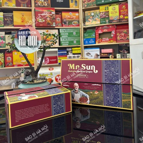 Hộp carton đựng nho khô xỏ dây xách