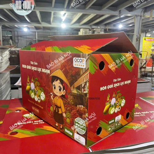 Hộp carton đựng hoa quả