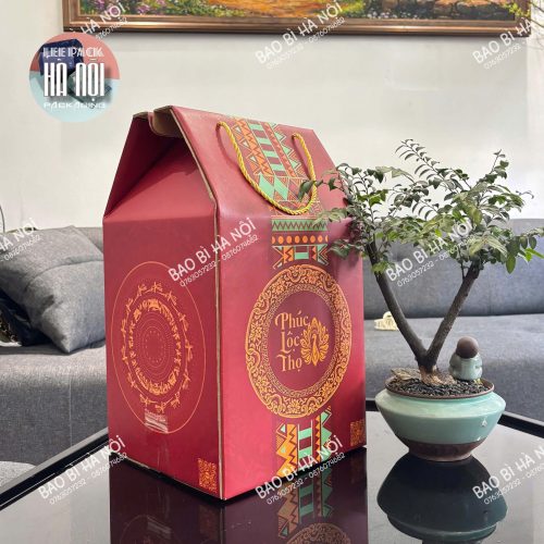 Hộp carton xỏ quai xách cao cấp